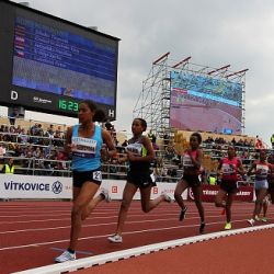 Zlatá tretra Ostrava 2013