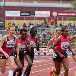 Zlatá tretra Ostrava 2013